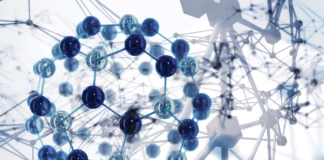 Diwou.com Celebrates Fifth Year of Publishing American Biotech News