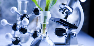 BiotechNews.com.au Celebrates Sixth Year of Publishing Australian Biotech News